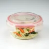 airtight glass lunchbox