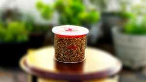 Airtight Jar Push Pull Lid 500